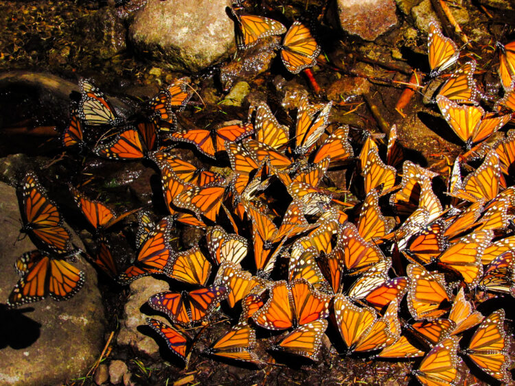 Puddling