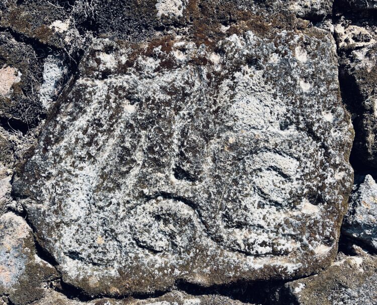 Petroglyph